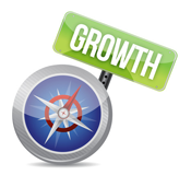 small business strategies to grow revenue