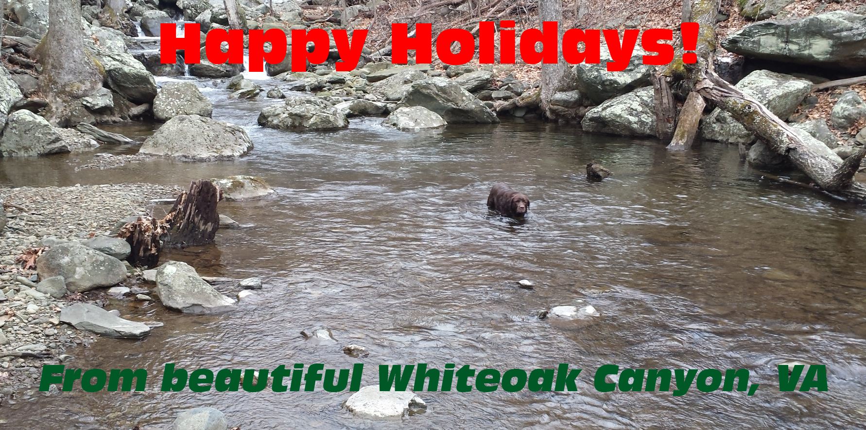 Happy_Holidays_from_Whiteoak_Canyon